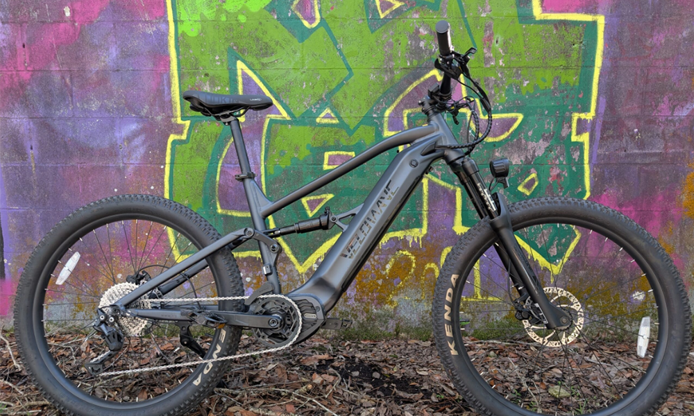 Velowave Forest SM Electric Bike