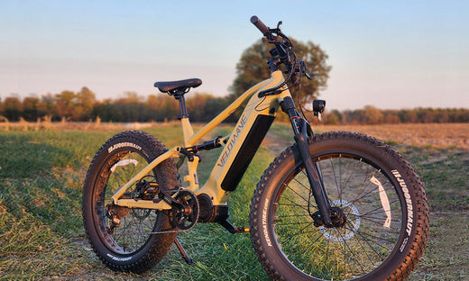 Brawny XM Electric Mountain Bike