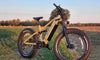 The Ultimate Guide to the Most Cost-Effective Electric Mountain Bikes of 2024