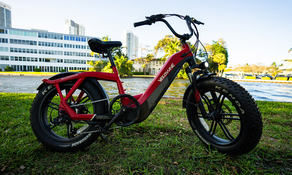 Velowave Pony Electric Bike