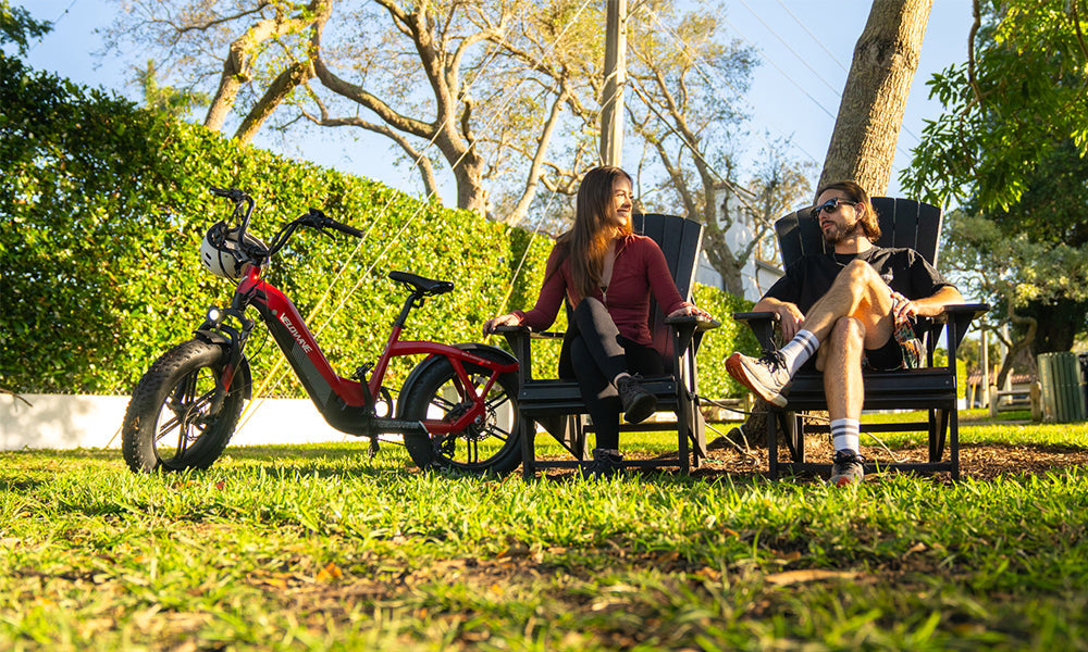 Velowave Electric Bikes