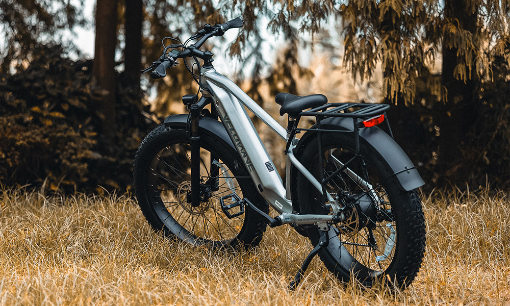 Ranger 3.0 Fat Tire Electric Bike