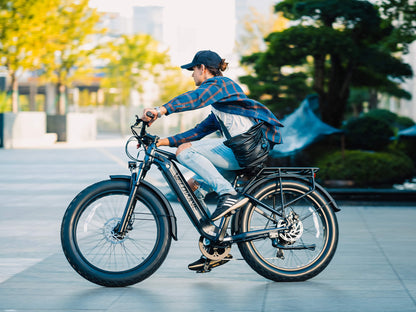 Ranger 3.0 Fat Tire All-Terrain Electric Bike